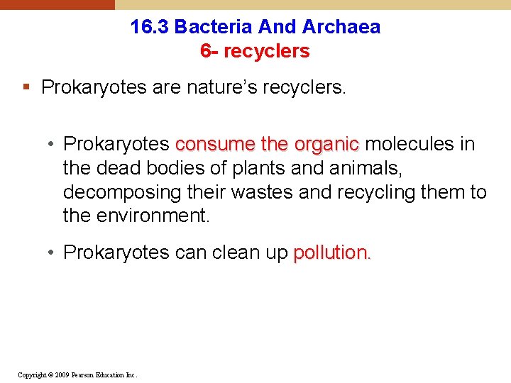 16. 3 Bacteria And Archaea 6 - recyclers § Prokaryotes are nature’s recyclers. •