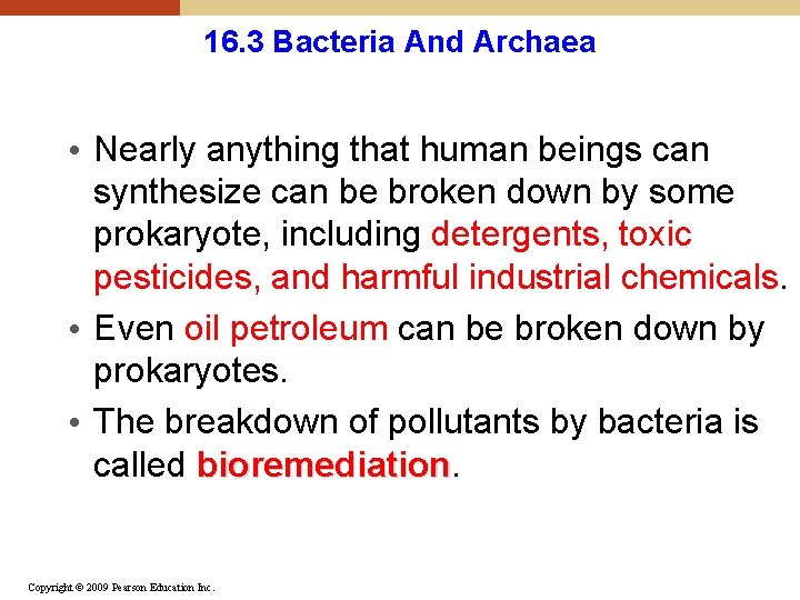 16. 3 Bacteria And Archaea • Nearly anything that human beings can synthesize can