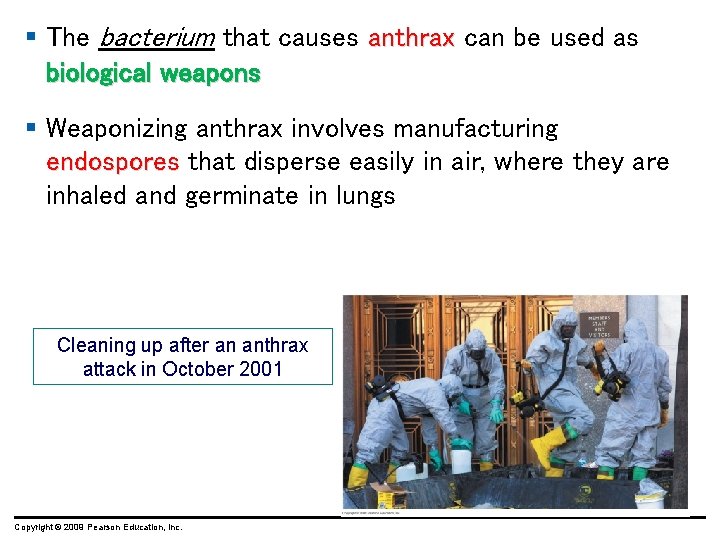 § The bacterium that causes anthrax can be used as biological weapons § Weaponizing