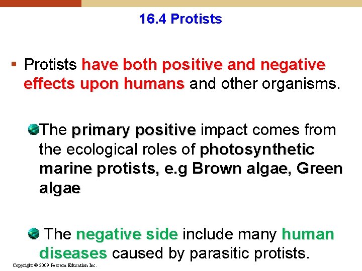16. 4 Protists § Protists have both positive and negative effects upon humans and