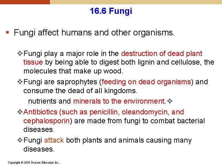 16. 6 Fungi § Fungi affect humans and other organisms. v. Fungi play a