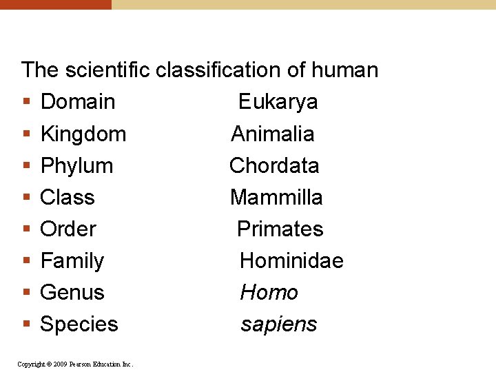 The scientific classification of human § Domain Eukarya § Kingdom Animalia § Phylum Chordata