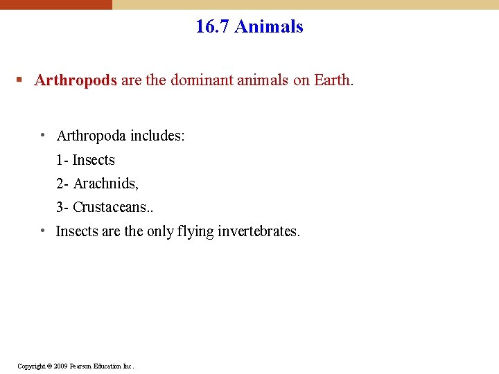 16. 7 Animals § Arthropods are the dominant animals on Earth. • Arthropoda includes: