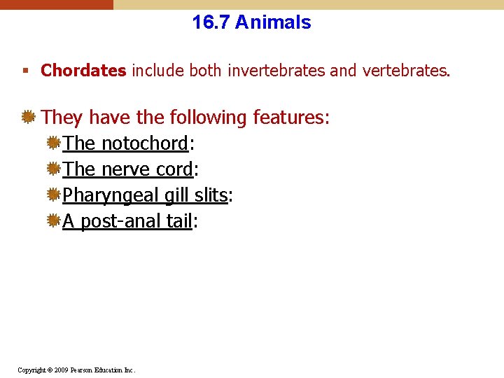 16. 7 Animals § Chordates include both invertebrates and vertebrates. They have the following
