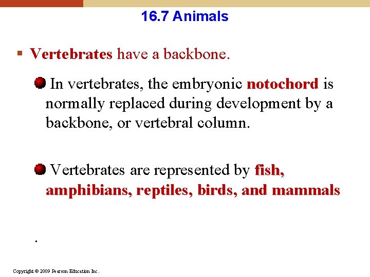 16. 7 Animals § Vertebrates have a backbone. In vertebrates, the embryonic notochord is