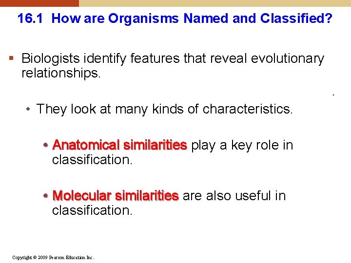 16. 1 How are Organisms Named and Classified? § Biologists identify features that reveal
