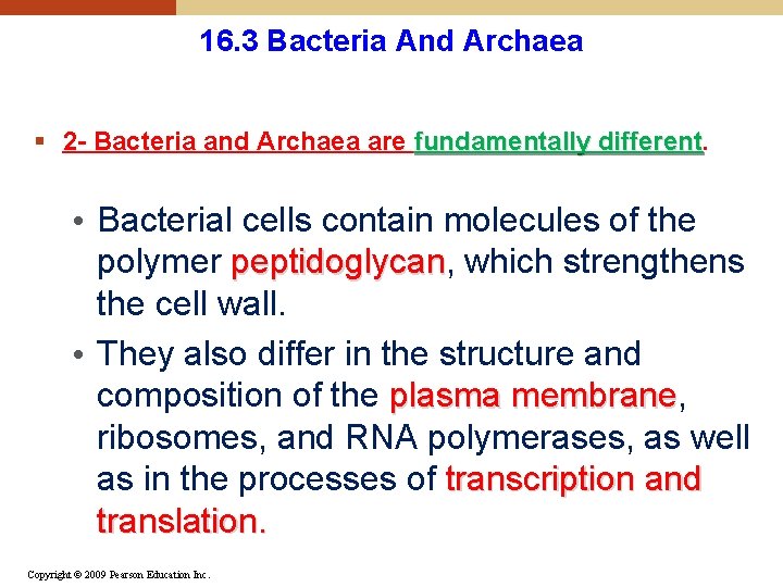 16. 3 Bacteria And Archaea § 2 - Bacteria and Archaea are fundamentally different