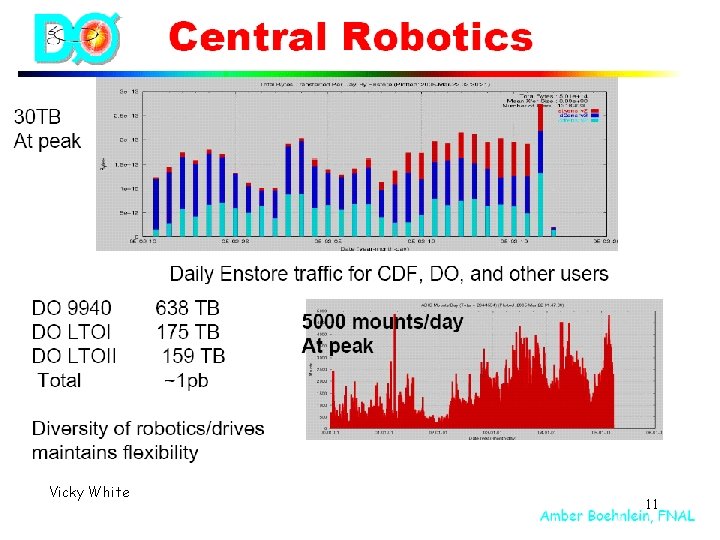 Vicky White ICFA-HEP Networking, Grids and Digital Divide 11 