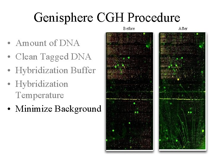 Genisphere CGH Procedure Before • • Amount of DNA Clean Tagged DNA Hybridization Buffer Genisphere CGH Procedure Before • • Amount of DNA Clean Tagged DNA Hybridization Buffer