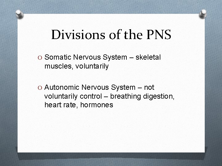 Divisions of the PNS O Somatic Nervous System – skeletal muscles, voluntarily O Autonomic