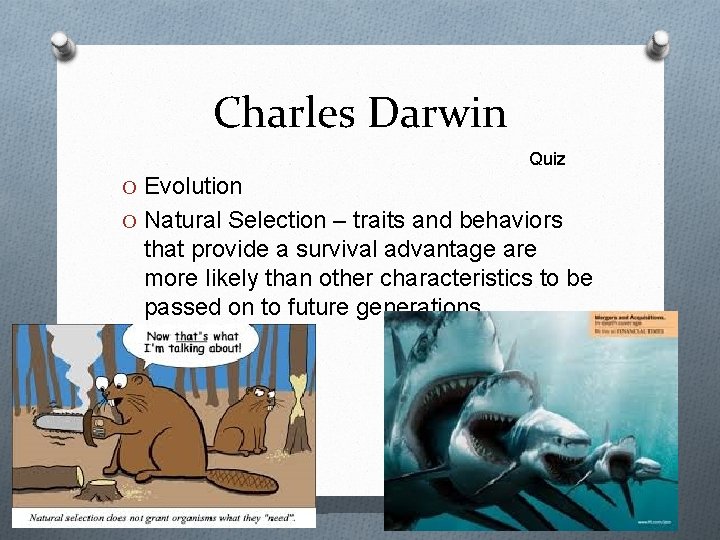 Charles Darwin Quiz O Evolution O Natural Selection – traits and behaviors that provide
