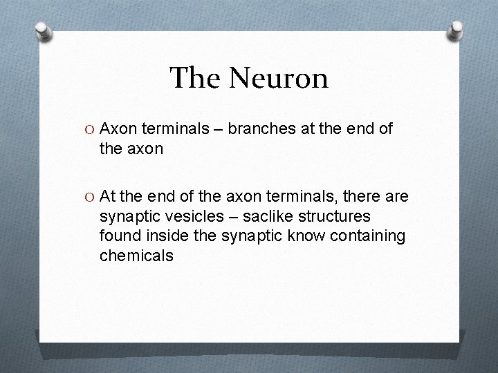 The Neuron O Axon terminals – branches at the end of the axon O