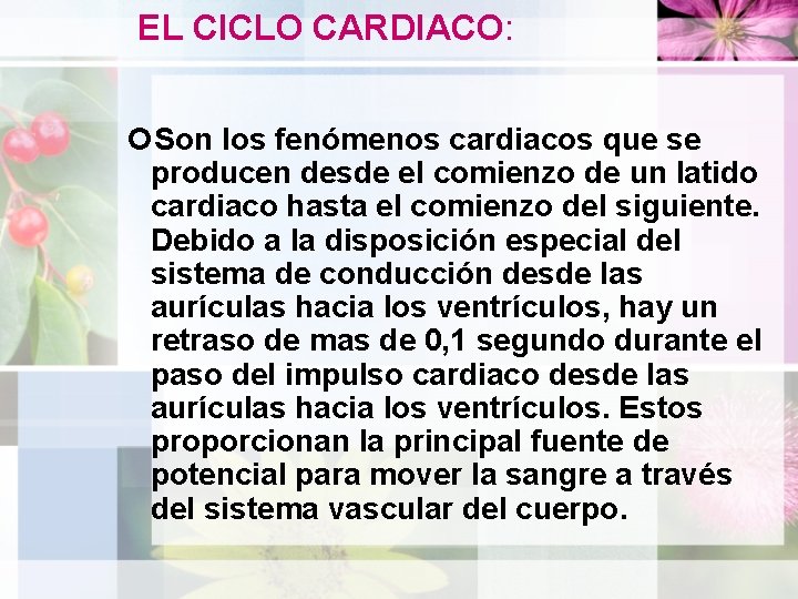 EL CICLO CARDIACO: Son los fenómenos cardiacos que se producen desde el comienzo de