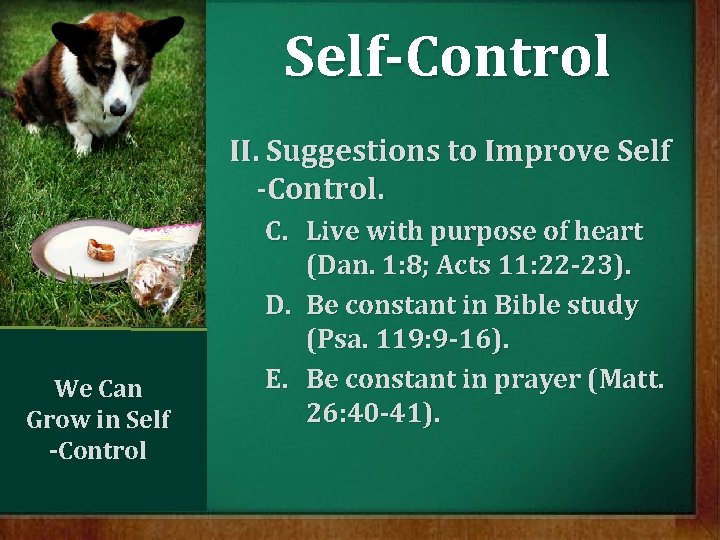 Self-Control II. Suggestions to Improve Self -Control. We Can Grow in Self -Control C.