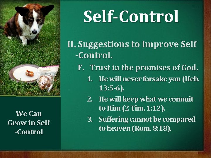 Self-Control II. Suggestions to Improve Self -Control. F. Trust in the promises of God.