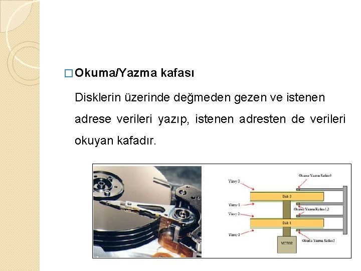 � Okuma/Yazma kafası Disklerin üzerinde değmeden gezen ve istenen adrese verileri yazıp, istenen adresten