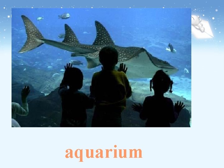 aquarium 