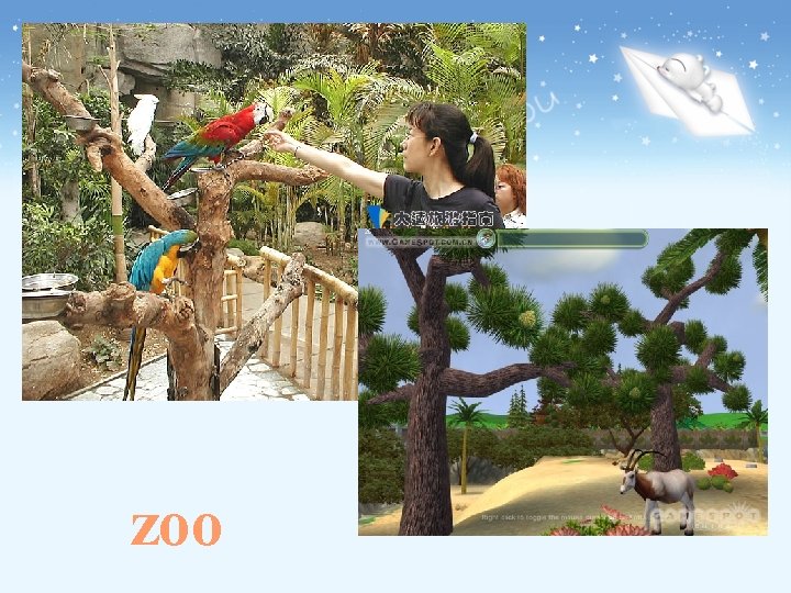 zoo 