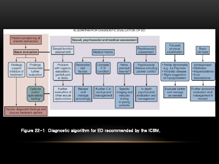 Figure 22 -1 Diagnostic algorithm for ED recommended by the ICSM. 