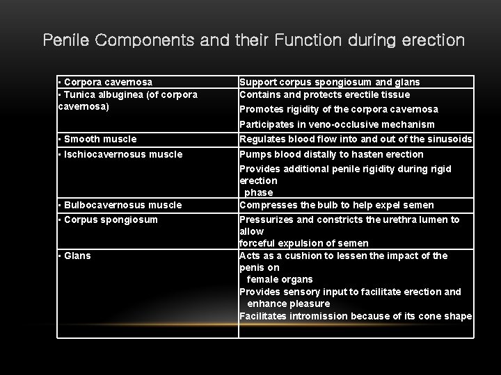 Penile Components and their Function during erection ▪ Corpora cavernosa ▪ Tunica albuginea (of