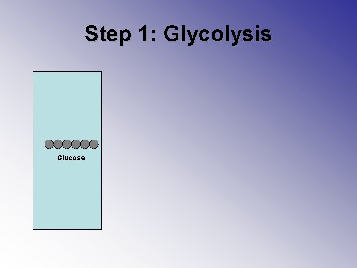 Step 1: Glycolysis Glucose 