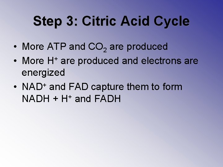 Step 3: Citric Acid Cycle • More ATP and CO 2 are produced •