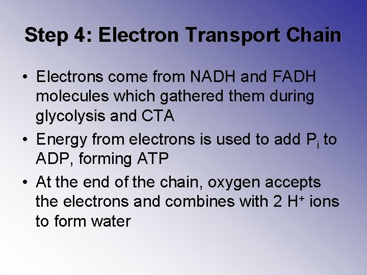 Step 4: Electron Transport Chain • Electrons come from NADH and FADH molecules which