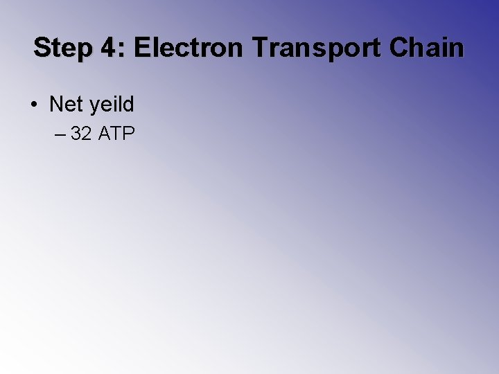 Step 4: Electron Transport Chain • Net yeild – 32 ATP 