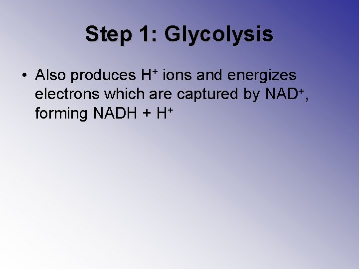 Step 1: Glycolysis • Also produces H+ ions and energizes electrons which are captured