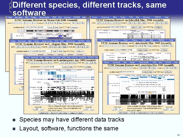 Different species, different tracks, same software n n Species may have different data tracks