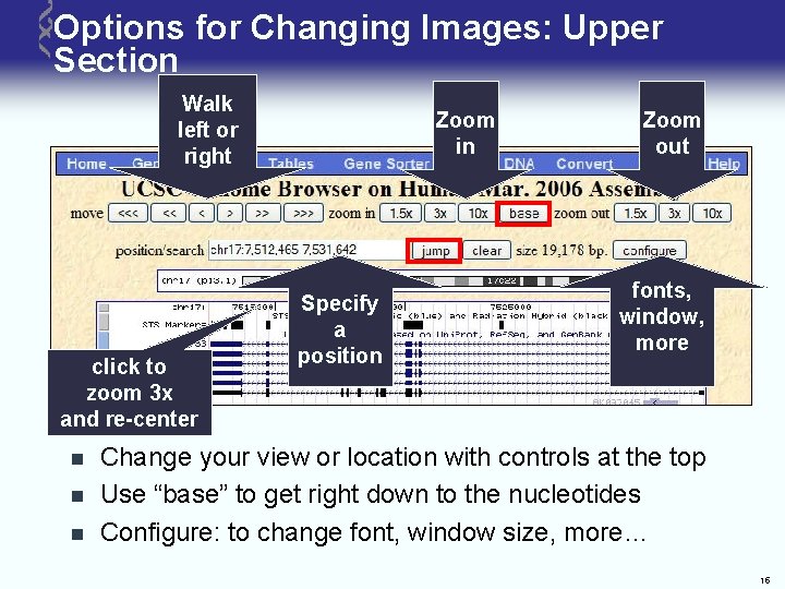 Options for Changing Images: Upper Section Walk left or right click to zoom 3