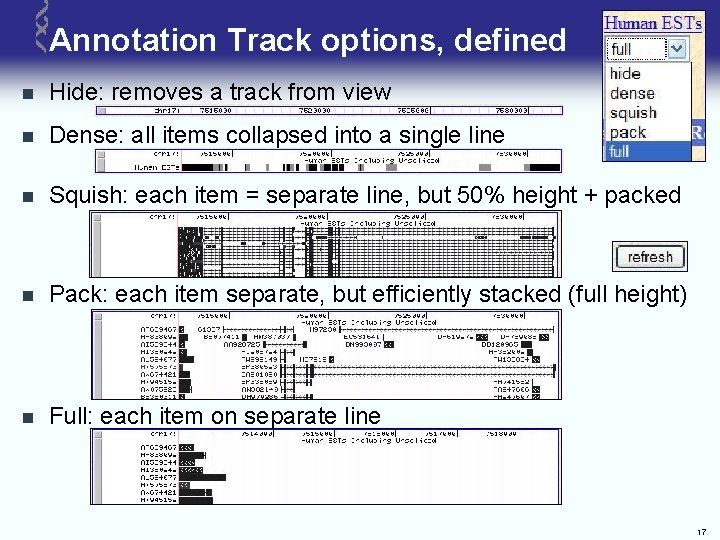 Annotation Track options, defined n Hide: removes a track from view n Dense: all