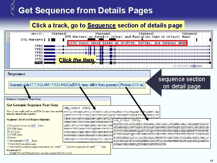 Get Sequence from Details Pages Click a track, go to Sequence section of details