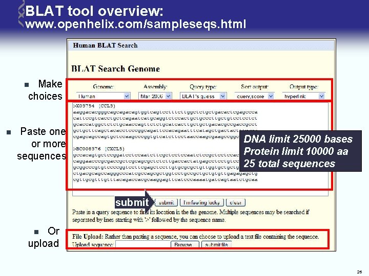 BLAT tool overview: www. openhelix. com/sampleseqs. html Make choices n n Paste one or