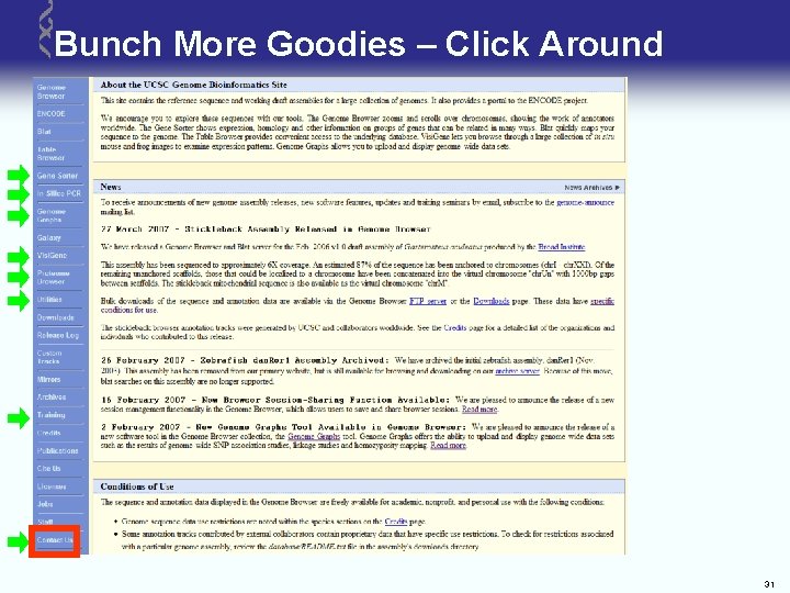 Bunch More Goodies – Click Around 31 