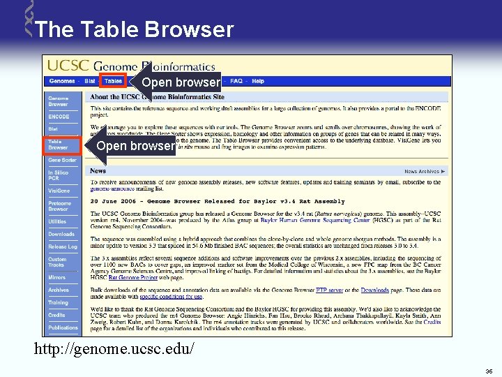 The Table Browser Open browser http: //genome. ucsc. edu/ 35 