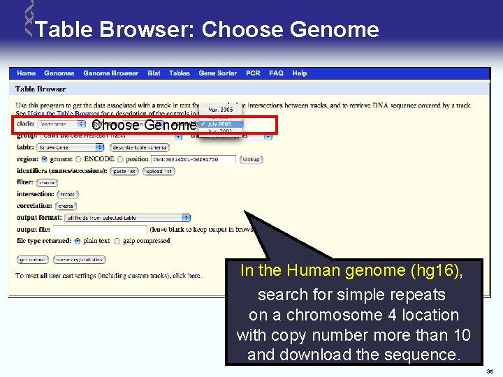 Table Browser: Choose Genome In the Human genome (hg 16), search for simple repeats