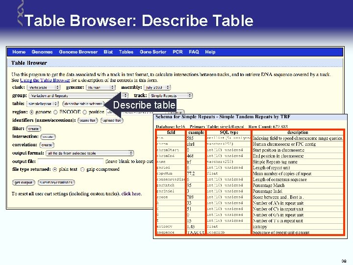 Table Browser: Describe Table Describe table 38 