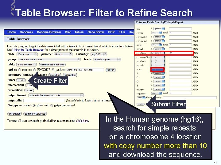 Table Browser: Filter to Refine Search Create Filter Submit Filter In the Human genome
