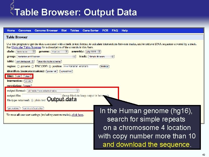 Table Browser: Output Data Output data In the Human genome (hg 16), search for