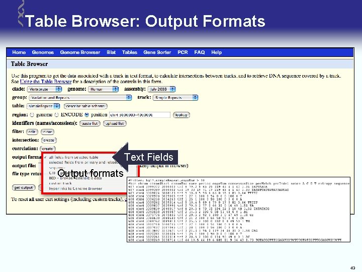 Table Browser: Output Formats Text Fields Output formats 43 