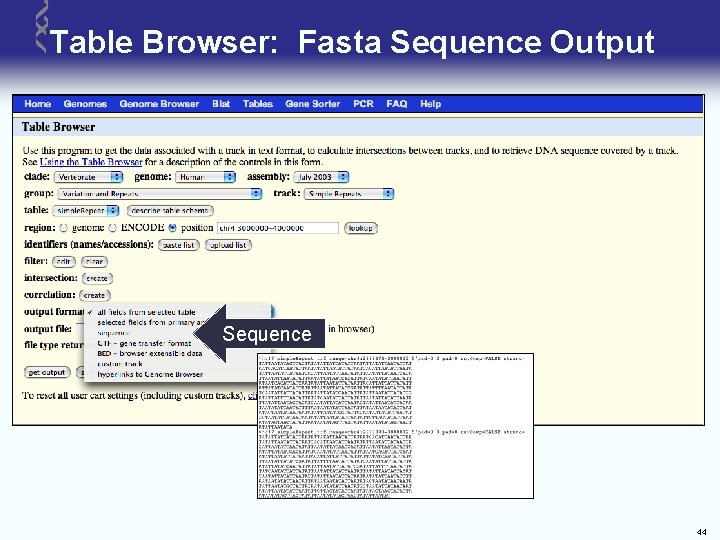 Table Browser: Fasta Sequence Output Sequence 44 