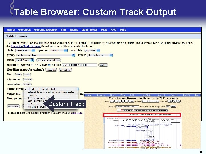 Table Browser: Custom Track Output Custom Track 46 