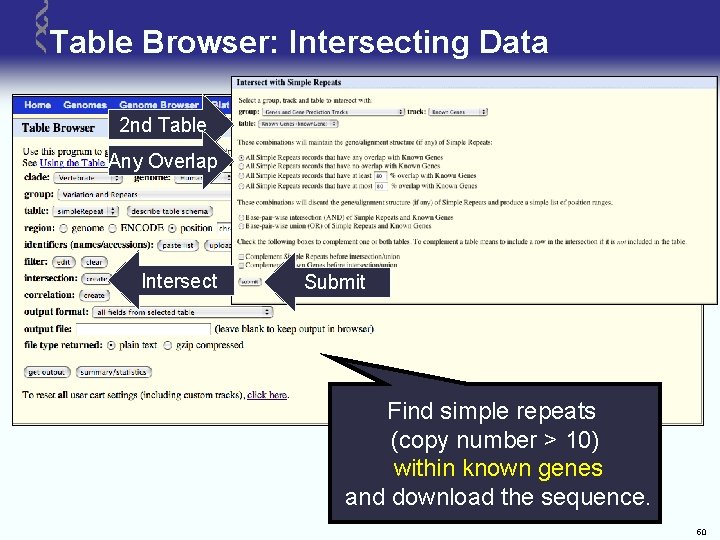 Table Browser: Intersecting Data 2 nd Table Any Overlap Intersect Submit Find simple repeats