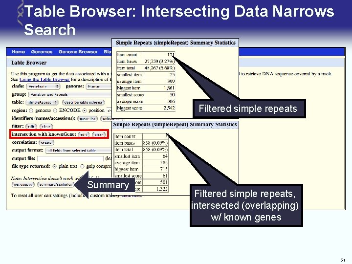 Table Browser: Intersecting Data Narrows Search Filtered simple repeats Summary Filtered simple repeats, intersected