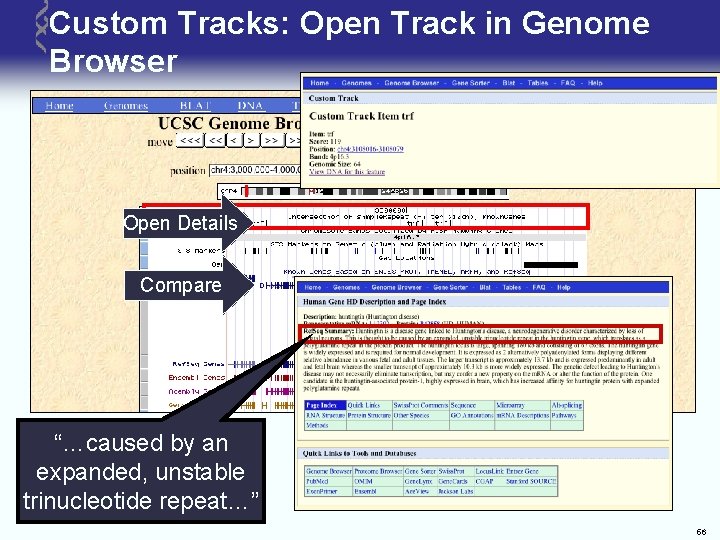 Custom Tracks: Open Track in Genome Browser Open Details Compare “…caused by an expanded,
