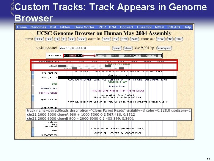 Custom Tracks: Track Appears in Genome Browser 61 