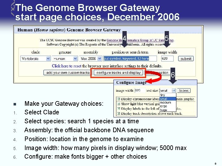 The Genome Browser Gateway start page choices, December 2006 4 5 6 n 1.