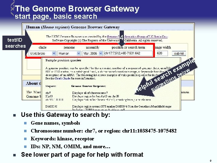 The Genome Browser Gateway start page, basic search 4 text/ID searches s e l