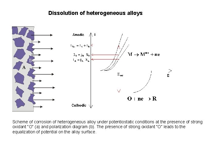 Dissolution of heterogeneous alloys Scheme of corrosion of heterogeneous alloy under potentiostatic conditions at